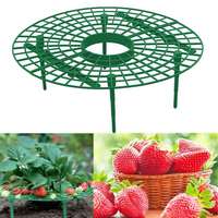 Berrylife-Strawberry Planting Frame