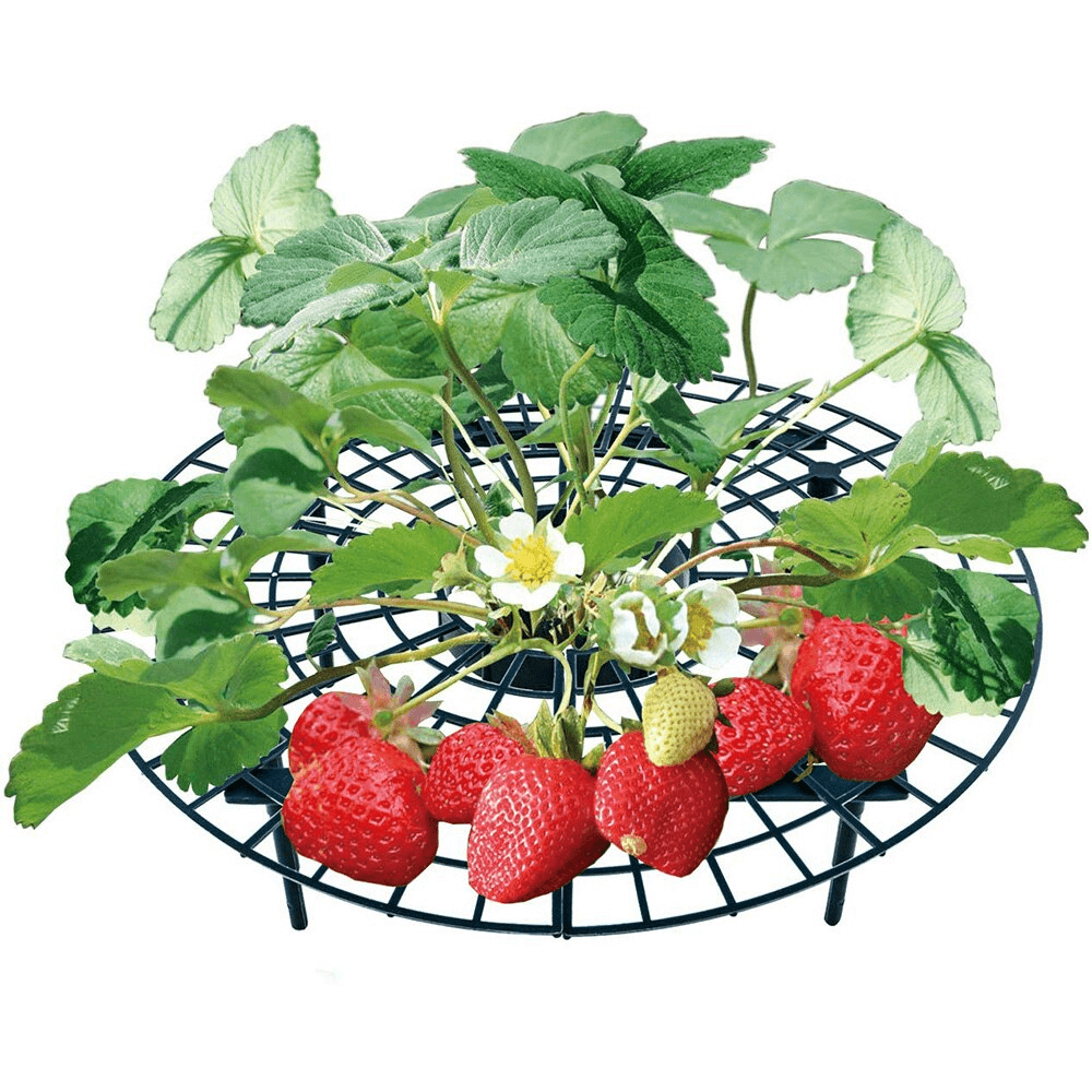 Berrylife-Strawberry Planting Frame