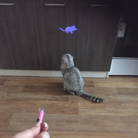 Creative and Funny Pet Cat Toys LED Pointer